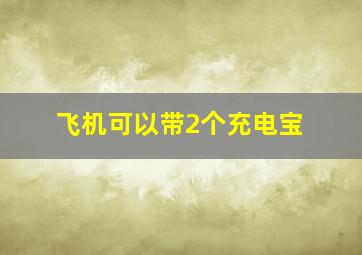 飞机可以带2个充电宝