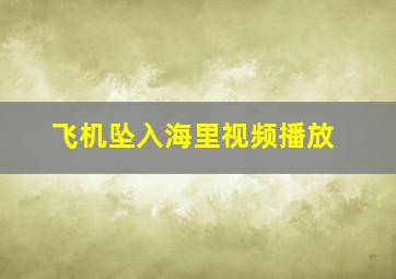 飞机坠入海里视频播放