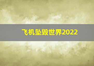 飞机坠毁世界2022