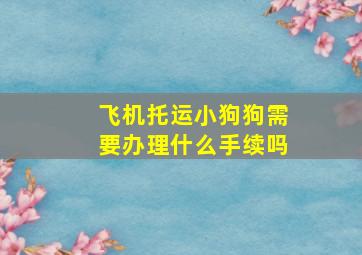 飞机托运小狗狗需要办理什么手续吗