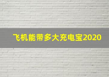 飞机能带多大充电宝2020