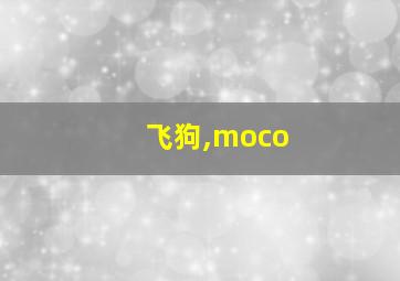 飞狗,moco