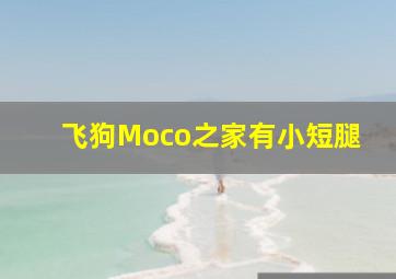 飞狗Moco之家有小短腿