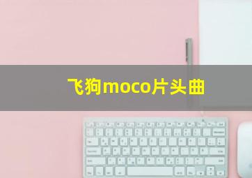 飞狗moco片头曲