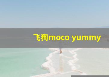 飞狗moco yummy