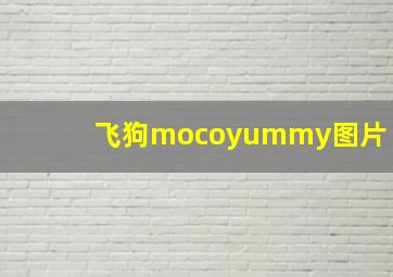 飞狗mocoyummy图片