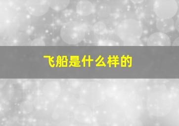 飞船是什么样的