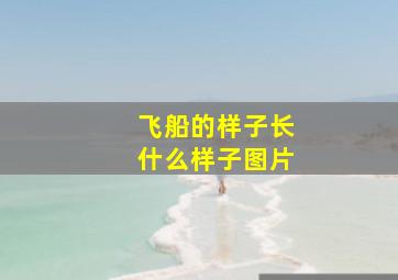 飞船的样子长什么样子图片