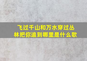 飞过千山和万水穿过丛林把你追到哪里是什么歌