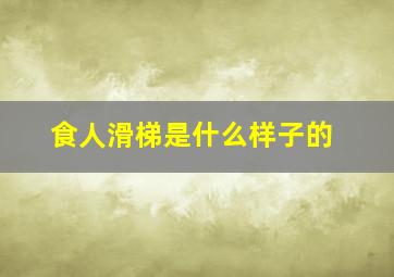 食人滑梯是什么样子的