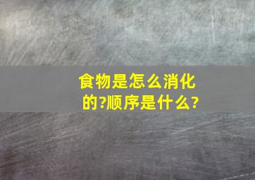 食物是怎么消化的?顺序是什么?