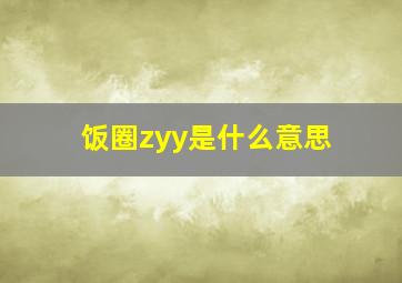 饭圈zyy是什么意思