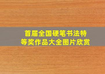 首届全国硬笔书法特等奖作品大全图片欣赏