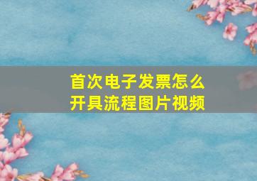 首次电子发票怎么开具流程图片视频