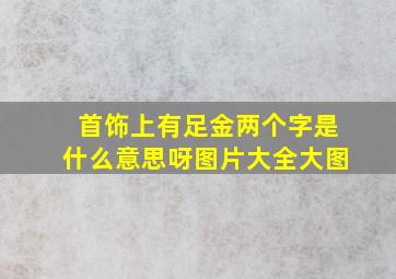 首饰上有足金两个字是什么意思呀图片大全大图