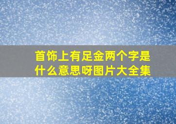 首饰上有足金两个字是什么意思呀图片大全集