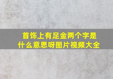 首饰上有足金两个字是什么意思呀图片视频大全