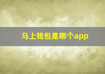 马上钱包是哪个app