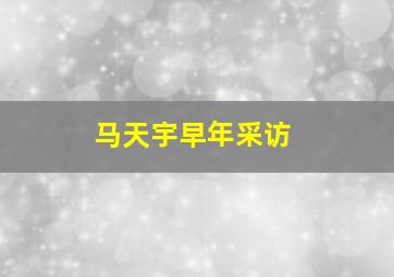 马天宇早年采访