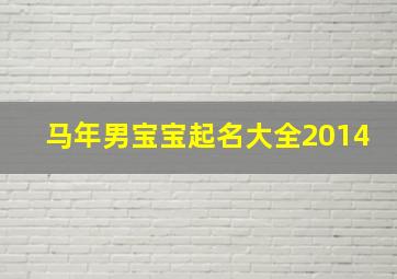 马年男宝宝起名大全2014