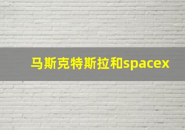 马斯克特斯拉和spacex