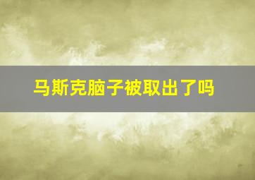 马斯克脑子被取出了吗