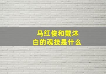 马红俊和戴沐白的魂技是什么