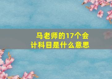 马老师的17个会计科目是什么意思