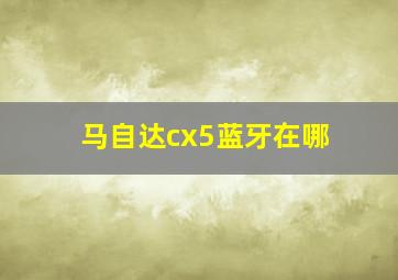 马自达cx5蓝牙在哪