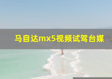 马自达mx5视频试驾台媒