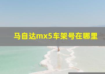 马自达mx5车架号在哪里