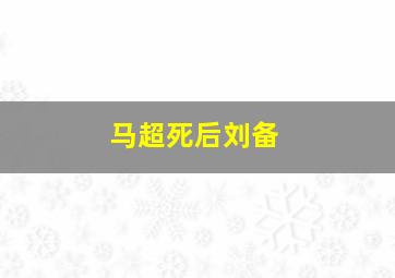 马超死后刘备