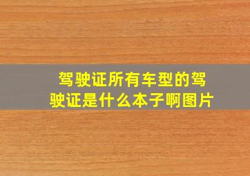 驾驶证所有车型的驾驶证是什么本子啊图片