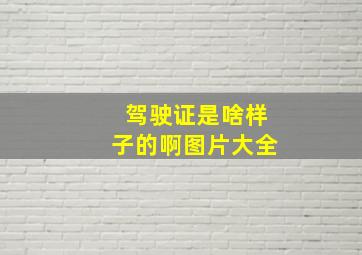 驾驶证是啥样子的啊图片大全