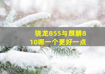 骁龙855与麒麟810哪一个更好一点