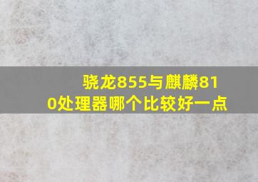 骁龙855与麒麟810处理器哪个比较好一点