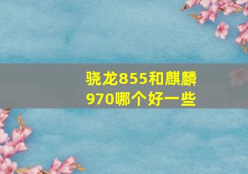 骁龙855和麒麟970哪个好一些