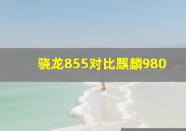 骁龙855对比麒麟980