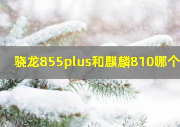 骁龙855plus和麒麟810哪个好