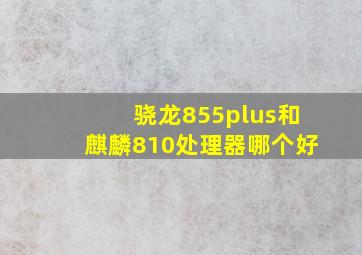 骁龙855plus和麒麟810处理器哪个好