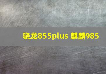 骁龙855plus 麒麟985