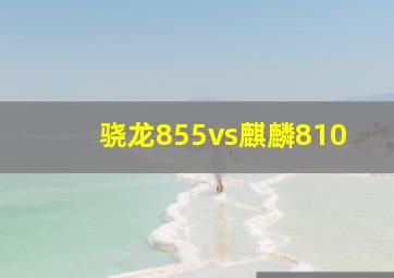 骁龙855vs麒麟810