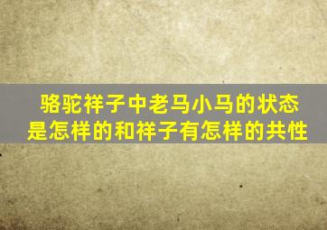 骆驼祥子中老马小马的状态是怎样的和祥子有怎样的共性