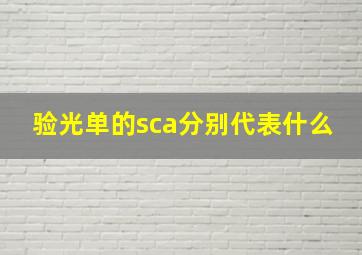 验光单的sca分别代表什么