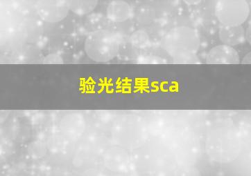 验光结果sca