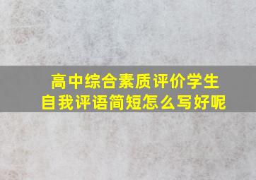 高中综合素质评价学生自我评语简短怎么写好呢