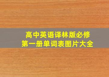 高中英语译林版必修第一册单词表图片大全