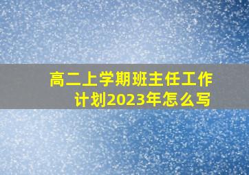 高二上学期班主任工作计划2023年怎么写