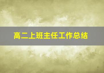 高二上班主任工作总结