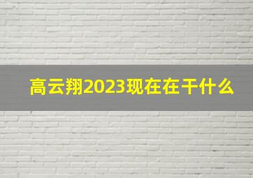 高云翔2023现在在干什么